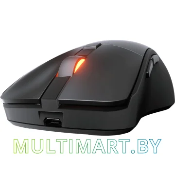 Игровая мышь Cougar Surpassion RX (черный) картинка 7